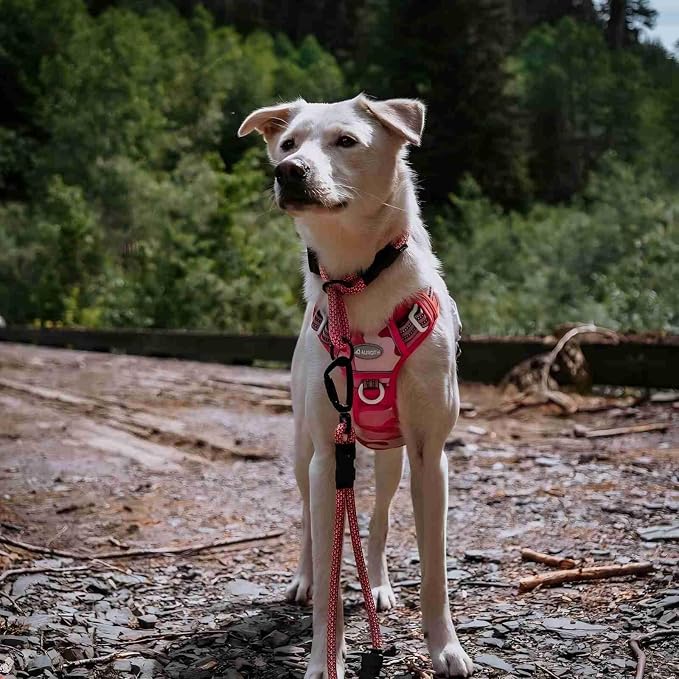 Auroth Tactical Pet Harness for Small Medium Large Dogs No Pull Adjustable, Reflective K9 Working Training Easy Control Vest Military Service Dog, Medium, Pink Camo | Heavy Duty with Handle, Breathable Padded, Reflective, Military K9, Easy Control for ... - Image 7