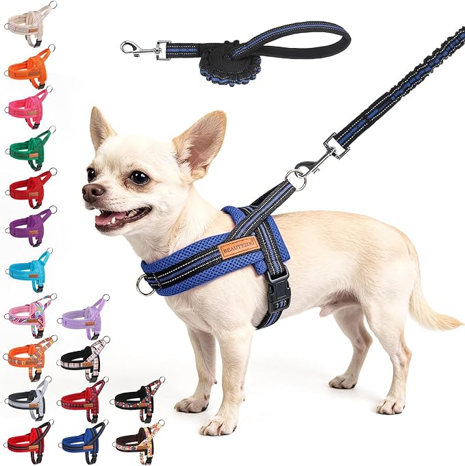 BEAUTYZOO Small Dog Harness and Leash Set, No Pull Step in Puppy Vest | Breathable Mesh with Handle, Reflective, Adjustable No Choke Escape Proof, Lightweight, Easy Control for Walking,Dark Blue XS by BEAUTYZOO