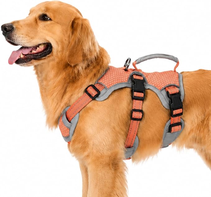 Escape Proof Dog Harness, Dachshund Harness, Reflective Dog Harness with Handle, Durable,Adjustable Vest for Small Medium Large Dogs Walking, Training, and Running Gear (Orange,L) by Huntboo