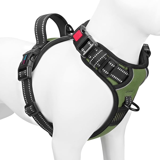 No Pull Dog Harness with Handle Front & Back Clip, Easy on | Lockable Snap Buckle at Neck, Adjustable Reflective Vest with Handle for Small Medium Large Dogs (S, Misty Green) by PHOEPET