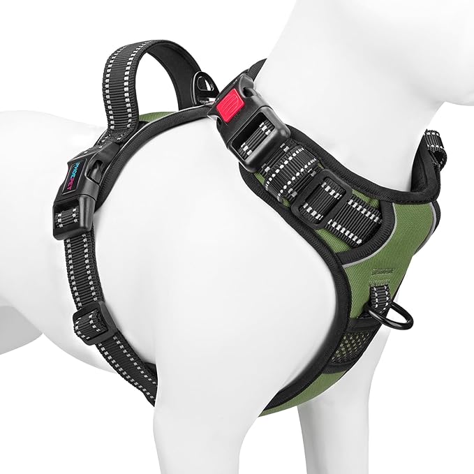 No Pull Dog Harness with Handle Front & Back Clip, Easy on | Lockable Snap Buckle at Neck, Adjustable Reflective Vest with Handle for Small Medium Large Dogs (M, Misty Green) by PHOEPET