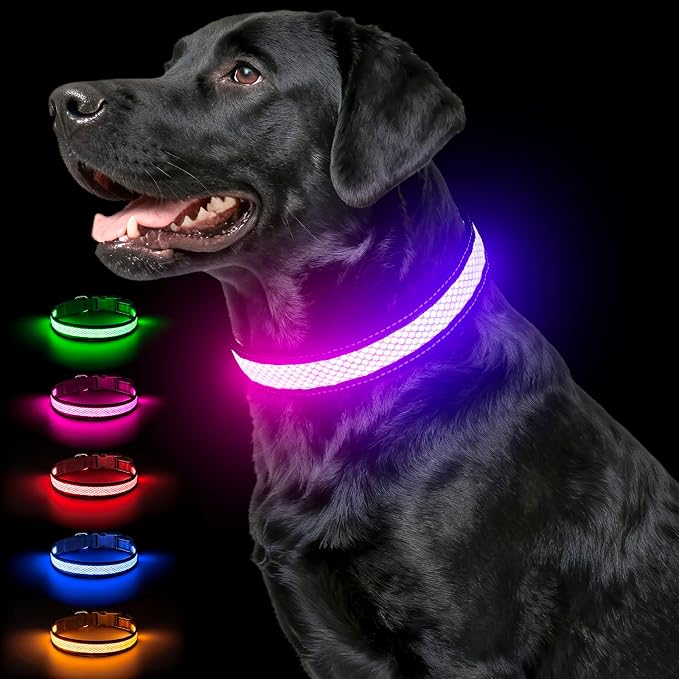 Multicolor Light Up Dog Collar, 5V Waterproof Led Dog Collar Rechargeable, 200 mAh Adjustable Glow in the Dark Dog Collars with 11 Light Modes for Small, Medium, Large Dogs Walk at Night (Large) by Ezierfy