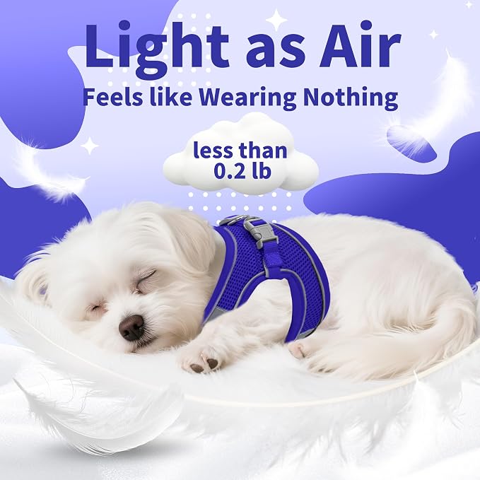 AIITLE Dog Harness and Leash Set, Step-in Puppy Pet Vest, Royal Blue XXS | Breathable Mesh, Adjustable Fit, Reflective Design, Padded Leash Handle, for Small-Medium Dogs & Cats, Walking, Training - Image 5