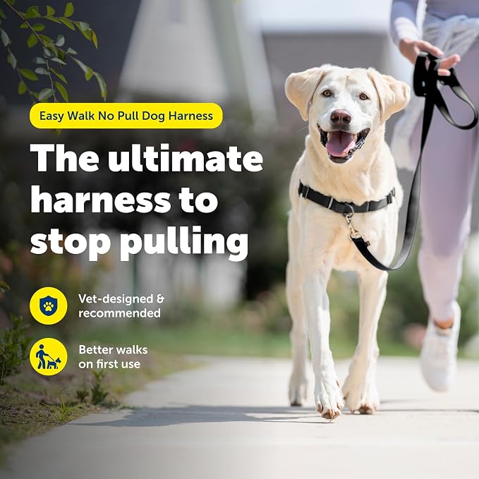 PetSafe Easy Walk Harness, No Pull Dog Harness, Charcoal Gray, Large | Patented Martingale Loop Gives Gradual Shoulder Pressure to Stop Pulling, Front-Chest Leash Clip Prevents Gagging - Image 2