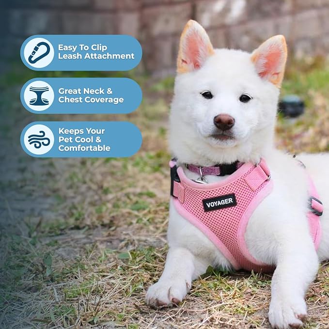 Voyager Step-in Lock Dog Harness - Pink, Medium | 17 - 21" in Chest, Adjustable, Breathable Air Mesh, Lightweight for Daily Walks, Strong Clips, Heavy Duty D-Ring - Image 3