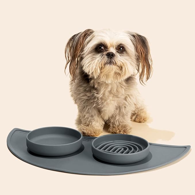 Should We Go? Slow Feeder Dog Bowls - Small Size Silicone Slow Eating Dog Bowl for Puppies & Dogs with Suction Cup -Dishwasher-Safe,Lick Mat Design,Reduces Gulping, for All Breeds, 6”x1.25”- Charcoal - Image 2