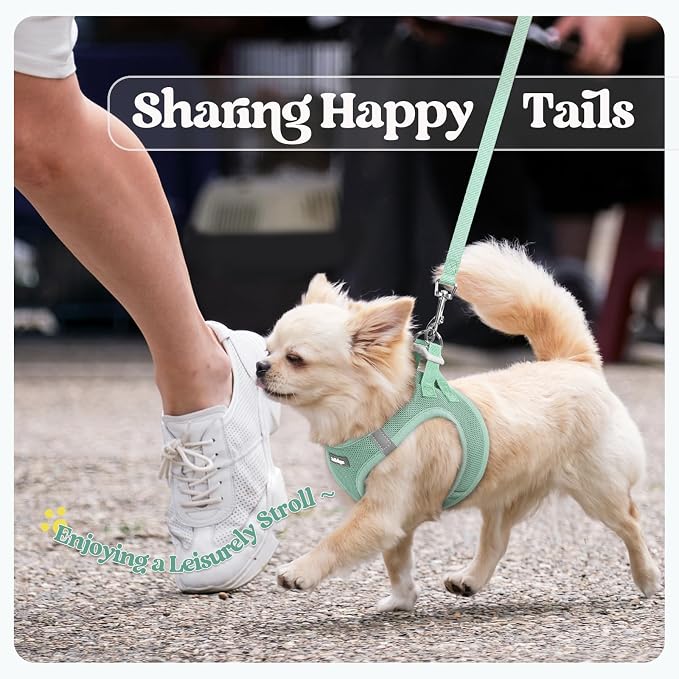 rabbitgoo Dog Harness Small Sized and Leash Set, Step-in Puppy Pet Vest | Light, Soft, Breathable Air Mesh, Easy on and Remove with Hook & Loop, Secure Reflective for Walking, Moss Green S - Image 9