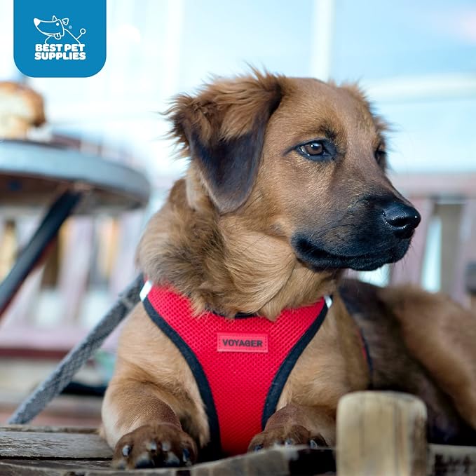 Voyager Step-in Air Dog Vest Harness - Red/Black Trim, Medium | 16 - 18" in Chest, Reflective Bands, All Weather Breathable Air Mesh, Cats Compatible, Lightweight, Fast Drying - Image 11