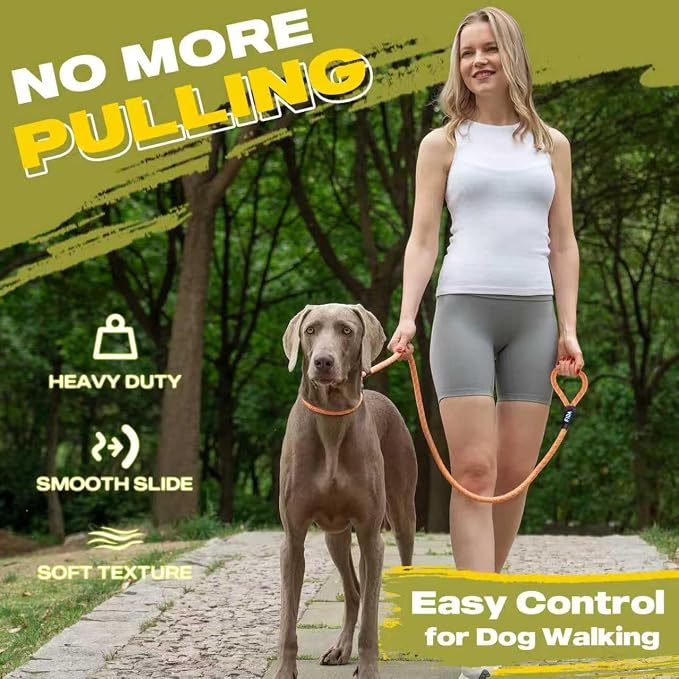 Fida Durable Slip Loop Lead for Large, Medium Dogs, 6 FT x 1/2" Heavy Duty, Comfortable Strong Rope, No Pull Pet Training Leash with Highly Reflective, Orange - Image 2
