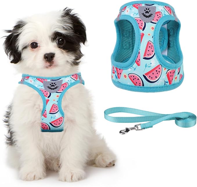 KOOLTAIL Dog Harness and Leash Set for Small Medium Dogs, Step in No Pull Soft Mesh Dog Harness Comfort Padded Pet Vest, Adjustable Reflective Easy Walking Puppy Cats Harness Training, Watermelon S by KOOLTAIL