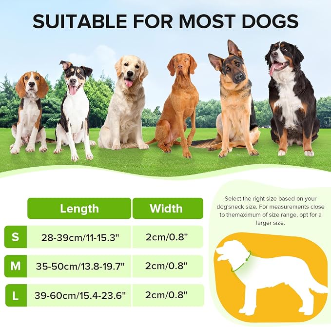 LED Dog Collar, Light Up Dog Collar USB-C Rechargeable Waterproof | 360° Visibility Light Up Dog Collar, Adjustable Nylon Collar with 3 Modes for Small Medium Large Dogs Night Walk Green M - Image 4