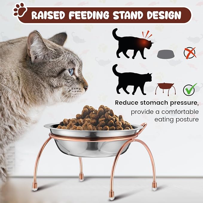 6 Sets Stainless Steel Elevated Cat Bowls 5.5 Inch Wide Raised Cat Bowls with Metal Stand Stress Free Elevated Shallow Water Dish Indoor Kitten Feeding Dish to Prevent Fatigue, 12 oz - Image 3