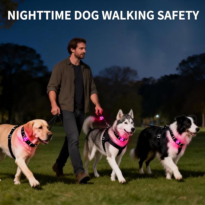 LaRoo Dog Lights for Night Walking, LED Dog Collar Lights for Nighttime, Clip On Light up Dogs Collar Walking Light (Pink) - Image 7