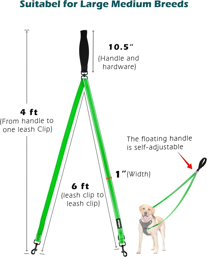 PetBonus Two Point Control Dog Leash, No Tangle Training Walking Leashes | Soft Padded Handle, Reflective, Works with No Pull Harnesses, Converts to Single Lead for Medium Large Dogs, Grass Green - Image 4
