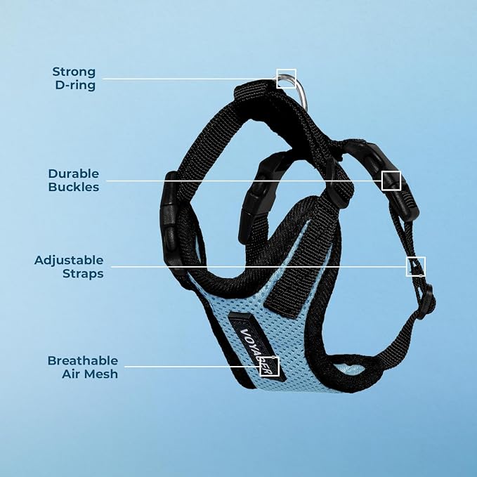 Voyager Step-in Lock Dog Harness - Baby Blue/Black Trim, X-Small | 13 - 16" in Chest, Adjustable, Breathable Air Mesh, Lightweight for Daily Walks, Strong Clips, Heavy Duty D-Ring - Image 4