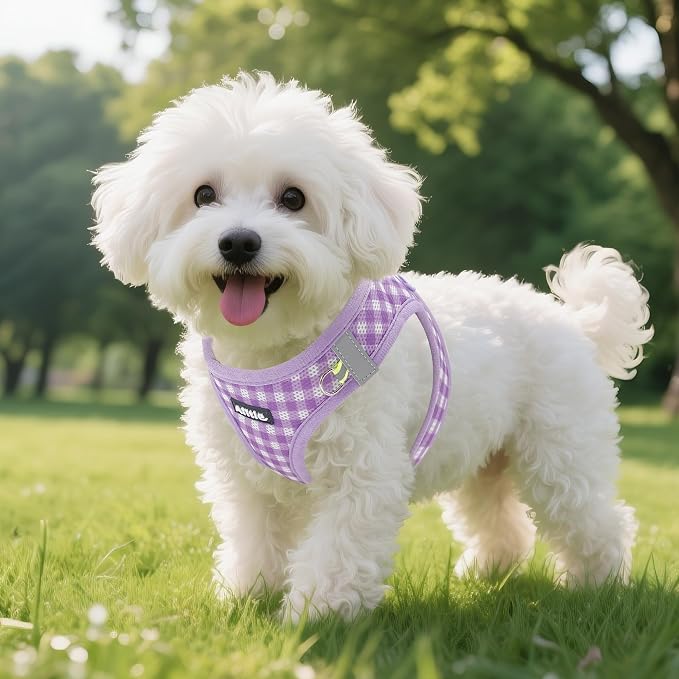 AIITLE Step in Small Dog Harness and Leash Set, Puppy Pet Vest, Purple XS | Breathable Mesh, Adjustable Fit, No-Pull Reflective Design, Escape Proof, for Small-Medium Dogs, Outdoor Walking, Running - Image 8