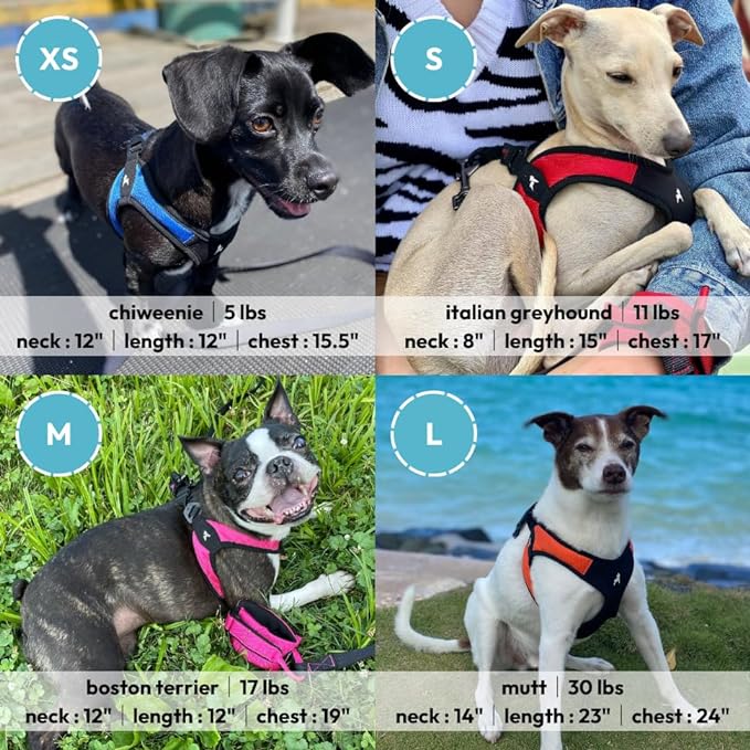 Gooby Escape Free Easy Fit Dog Harness, Step-in, Red, Large | Patented escape-free frame; Contracts if they back out; Step-in easy on/off; Machine washable; Light POM leash ring - Image 6