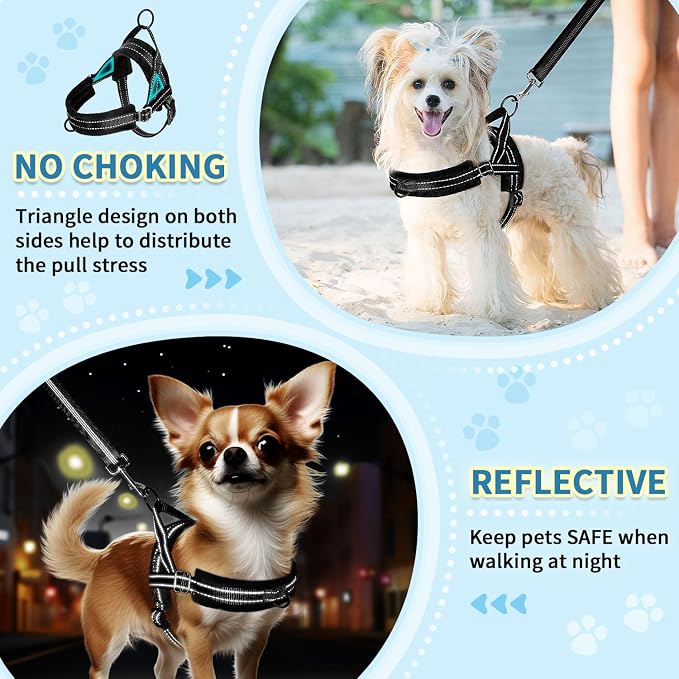 SlowTon No Pull Small Dog Harness and Leash Set with Front Clip | Soft Padded, Neck & Chest Adjustable, Lightweight, Anti-Twist, Puppy Vest Harness Pet Lead Combo for Small Medium Dog, B XXS - Image 3