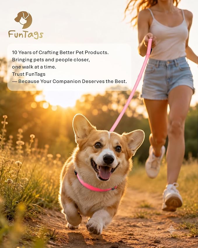 FunTags Reflective Nylon Dog Leash for Medium & Large Dogs, 6FT for Walks | Comfortable Padded Grip, Stay Safe at Night, 360° Anti-Tangle Swivel, for Dog Parks & Trails, Neon Pink - Image 9