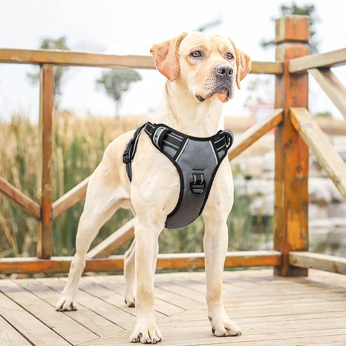 HEELE Dog Harness, No Pull Adjustable Padded Reflective Harness for Small Medium Large Dogs with Handle for Walking Training, Grey, L | No Choke with Control Handle, Soft Breathable Padded Pet Vest, Adjustable, Reflective Front Clip Vest for Night Walking - Image 2