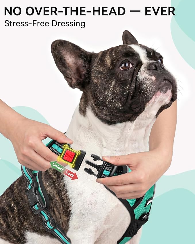 Joytale No Pull Dog Harness & Seat Belt, Easy On 3-Buckle, M, Teal | Front Clip Reduces Pulling, Escape-Resistant Design, Adjustable Fit, Soft Padding for Comfort, Secure Tether for Safer Travel - Image 2