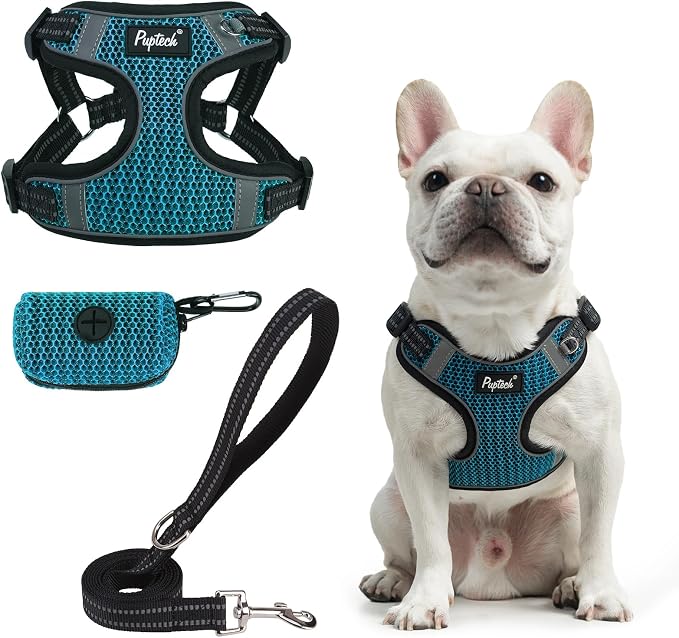 PUPTECK Dog Harness and Leash Set Medium Sized, Step in No Pull Adjustable Puppy Cat Harness Reflective Pet Vest by PUPTECK