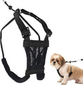 Sporn No Pull Dog Harness, Durable Nylon Mesh Harness for Small Dogs, No Choke Design, Padded Restraint Sleeves, Adjustable Fit, Easy On/Off, Ideal for Small Breeds, Black by Sporn