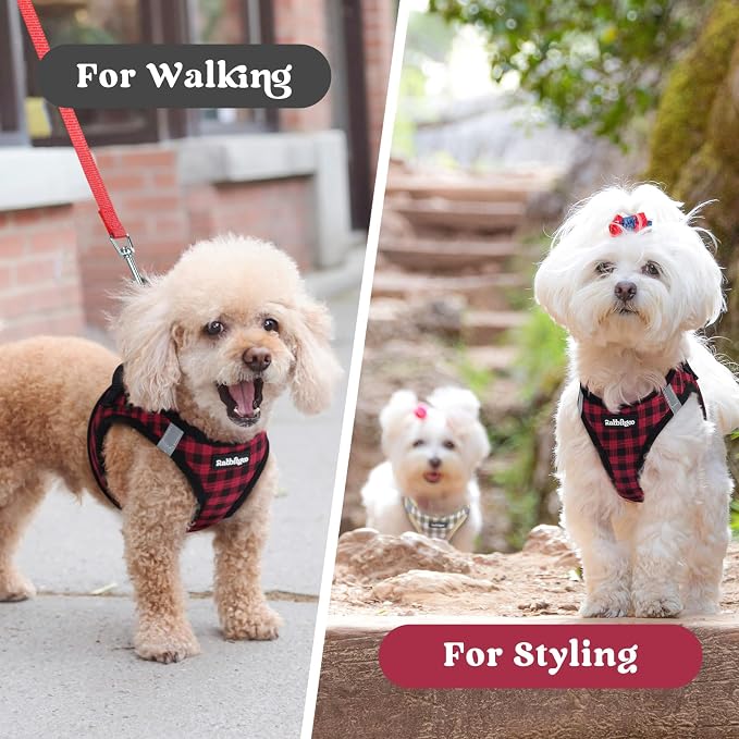 rabbitgoo Step-in Small Dog Harness, Puppy Vest for Small Medium Sized Pet | Easy Put on and off, Lightweight, Soft, Breathable Quick-Dry Air Mesh for Comfortable Secure Walking, Red Check L - Image 9