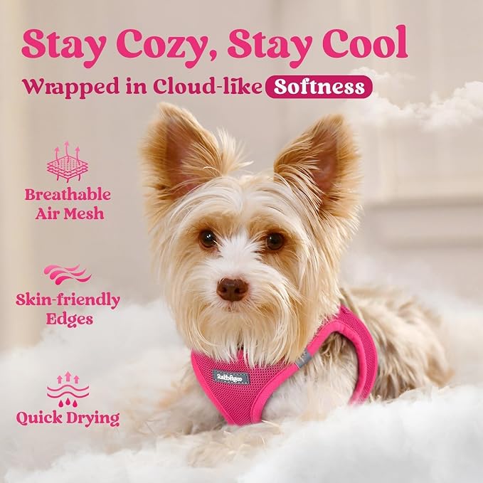 rabbitgoo Step-in Small Dog Harness, Puppy Vest for Small Sized Pet | Easy Put on and off, Lightweight, Soft, Breathable Quick-Dry Air Mesh for Comfortable Secure Walking, Rose Red XS - Image 3