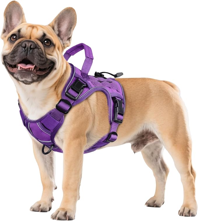 WINGOIN Purple Tactical Dog Harness for Small Dogs,No Pull Dog Harness | with Handle,Adjustable Reflective,Military K9 Style,Big Size Dog Vest,for German Shepherd,for Walking Training Hunting by WINGOIN