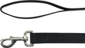 Coastal Pet Single-Ply Dog Leash - Sturdy Pet Leash - Comfortable & Stylish - Resists Fraying - Vibrant & Fade-Resistant Color - Black, 1" x 4' by CoastalPet