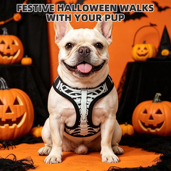 KOOLTAIL Halloween Dog Harness and Leash Set for Small Medium Dogs,Step in No Pull Soft Mesh Comfort Padded Pet Vest Harness,Glow-in-Dark Skeleton Design Easy Walking Puppy&Cat Harness for Holiday M - Image 2