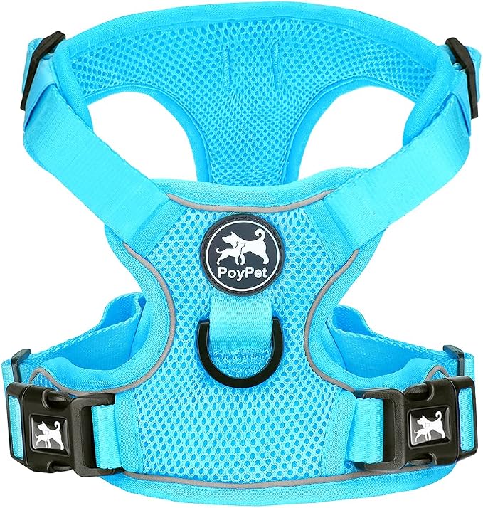 PoyPet Mesh Dog Harness, Reflective Breathable Puppy Vest for Small Dogs | Lightweight, Soft Air Mesh, Back D-ring, Adjustable, Comfortable, Double Padded, No Choke, for Daily Walking, S, Light Blue by PoyPet