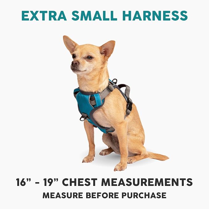 Embark No Pull Dog Harness, Reflective Adjustable Training Vest, No Choke | Adjustable straps fit all dog breeds with sturdy hooks; 360° reflective trim, soft padded Harness Design for All Dogs - Image 2