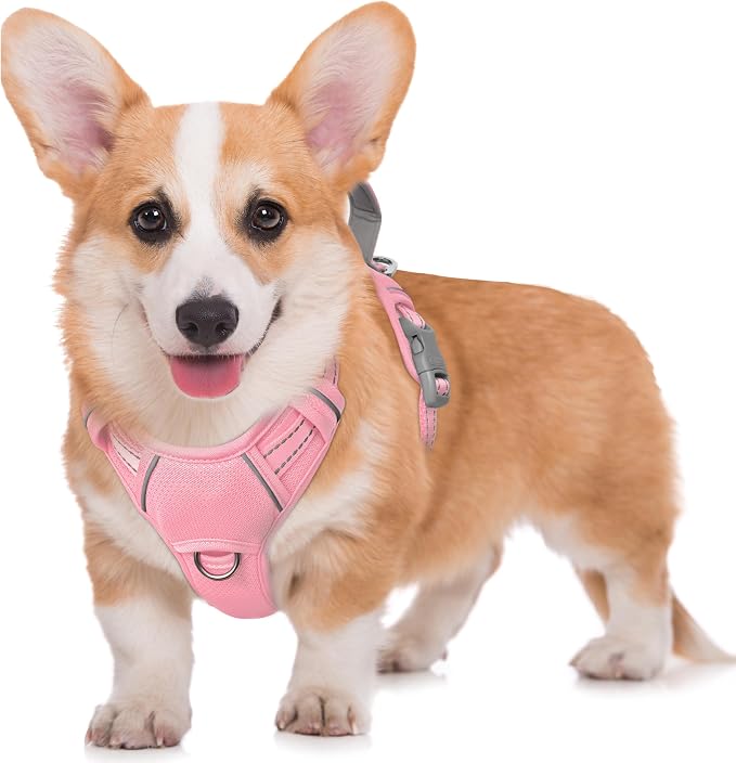 BARKBAY No Pull Dog Harness Large Reflective Dog Harness with Front Clip and Easy Control Handle for Walking Training Running with ID tag Pocket(Baby Pink,M) by BARKBAY