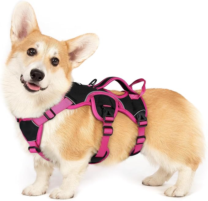 rabbitgoo Escape Proof Dog Harness for Small, No Pull with Lift Handle | No Escape, Full Soft Padded, Reflective Adjustable Vest, Leash Clip for Walking Hiking Training, Rose & Black, Small by rabbitgoo