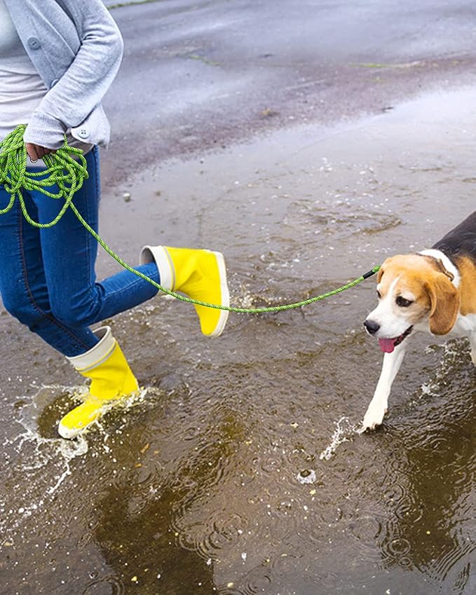 Long Dog Leash for Training - 10FT/16FT/30FT/50FT/100FT, Reflective, Heavy Duty for Large, Medium, Small Dogs - Walking, Playing, Camping, Yard - Image 8