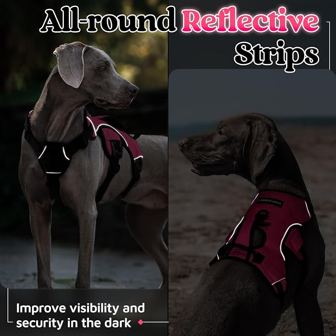 rabbitgoo Escape Proof Dog Harness for Medium, No Pull with Lift Handle | No Escape, Full Soft Padded, Reflective Adjustable Vest, Leash Clip for Walking Hiking Training, Peach Pink, Medium - Image 8