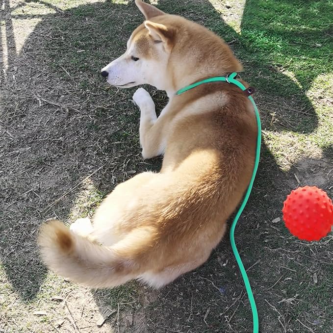 MayPaw Slip Lead Control Leash for Dogs No Pull, 13+ Colors Classic Dog Lead 7 FT Pet Slip Leash, 1/4” Rope Leashes for Small Medium Animals (7ft*1/4", Turquoise) - Image 6