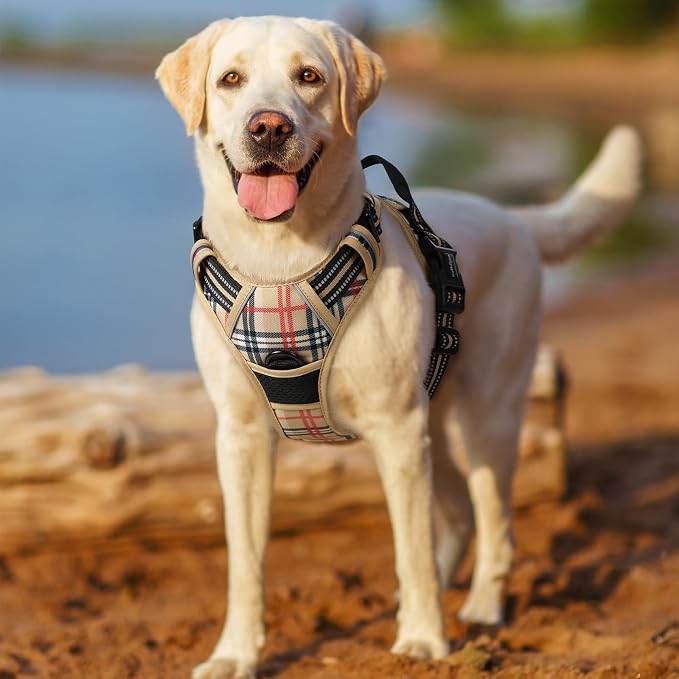 rabbitgoo Dog Harness, No Pull Medium Sized with 2 Leash Clips, Pet Vest | No Choke with Handle, Adjustable Soft Padded, Reflective, Easy Control for Walking, Beige Plaid, Medium - Image 8