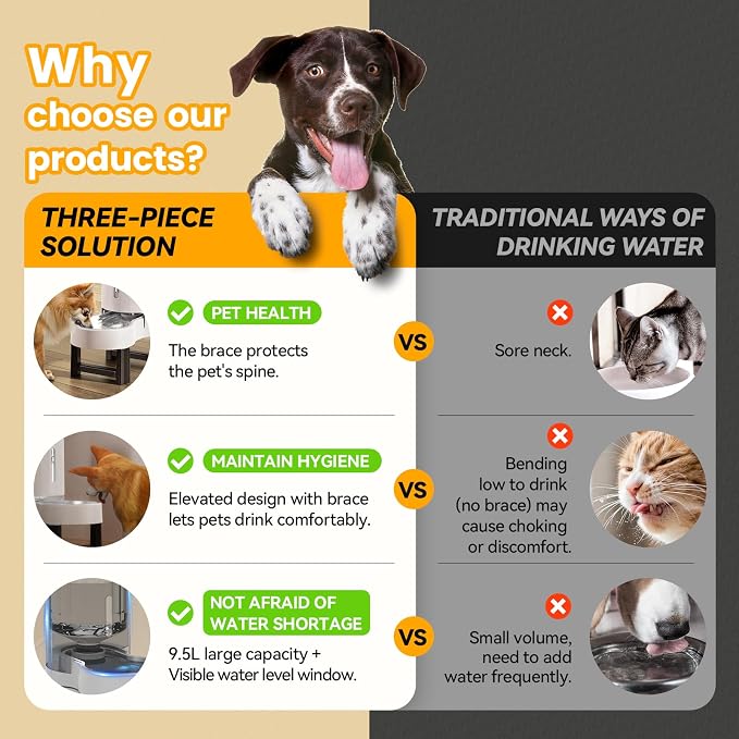 CZPET Elevated Dog Water Bowl Dispenser for Large Dogs (9.5L+Stand,White) | With Stainless Steel Bowl Gravity Waterer, Large Capacity and Drinking Area Noise-Free for Pets - Image 4
