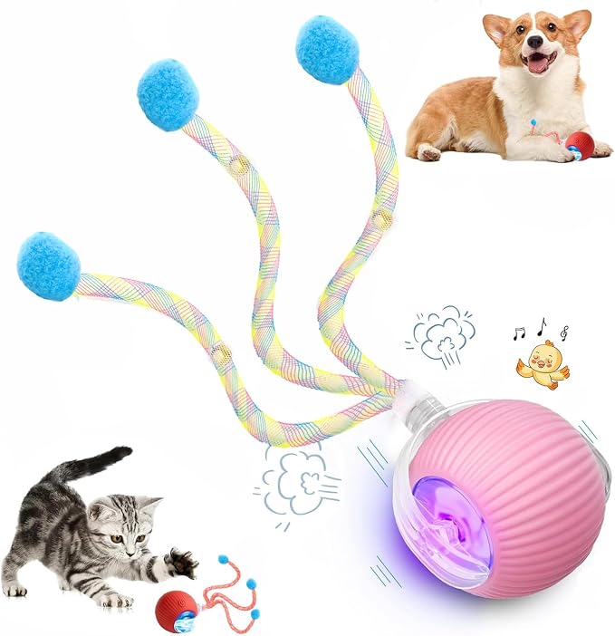 Speed 2.0 Tail Interactive Cat Toys for Indoor Cats, Moving Cat Toy | Chirping & Motion Activate Cat Toy, Smart Kitten Toys Rolling Ball Moving Ball, Electric Dog Cat Ball for Enrichment Exercise by Unknown