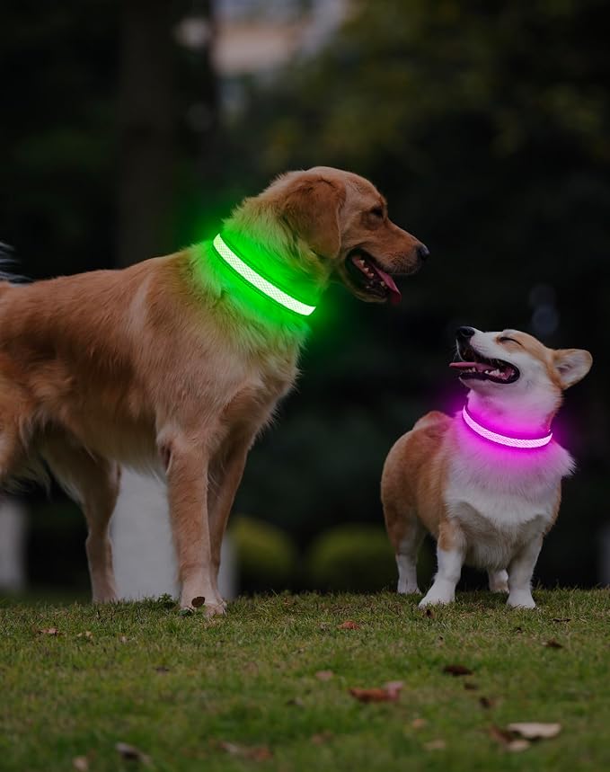 Weesiber Light Up Dog Collar - Reflective LED Dog Collar Rechargeable Glow in The Dark Pet Collar, Safety Doggie Lights for Night Walking(Green, S) - Image 9