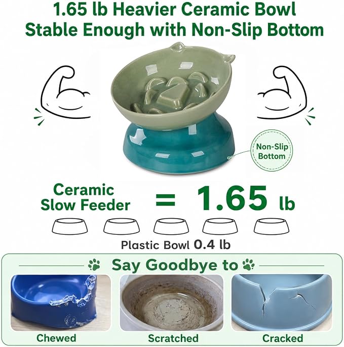 Ceramic Slow Feeder Cat Bowl, 15-Degree Tilted Non-Slip | Food-Grade Ceramic For Indoor Cats, 5.3 In Shallow Bowl, Whisker-Friendly, Dry And Wet Food, Dishwasher Safe - Image 5