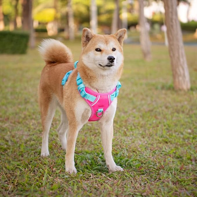 No Pull Dog Harness, Unique Colors Reflective Adjustable Dog Vest, with Soft Training Handle Metal Clips for Small Medium Large Dogs (Pink Base & Green Straps,S) - Image 3