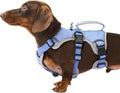 Escape Proof Dog Harness, Dachshund Harness, Reflective Dog Harness with Handle, Durable,Adjustable Vest for Small Medium Large Dogs Walking, Training, and Running Gear (Technicolor Blue,S) by Huntboo