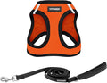 Best Pet Supplies Voyager Step-in Air All Weather Mesh Harness and Reflective Dog 5ft Leash Combo with Neoprene Handle, for Small, Medium and Large Breed Puppies - Orange/Black Trim, Small by BestPetSuppliesLLC