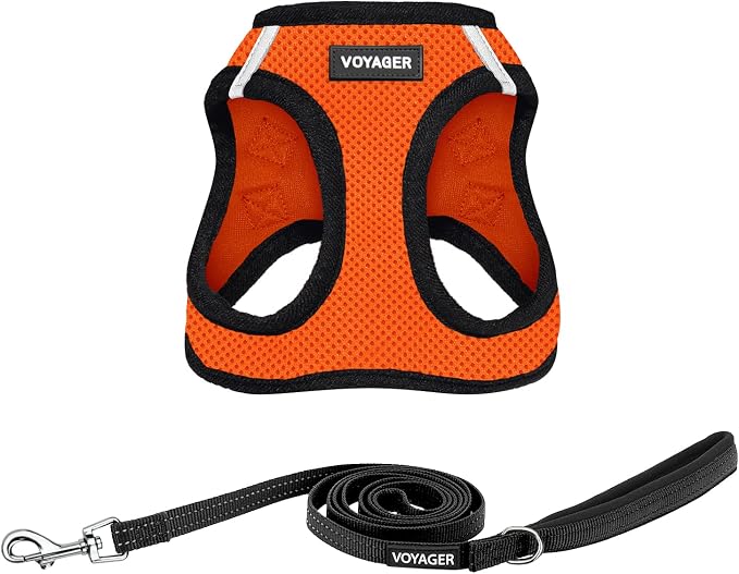 Best Pet Supplies Voyager Step-in Air All Weather Mesh Harness and Reflective Dog 5ft Leash Combo with Neoprene Handle, for Small, Medium and Large Breed Puppies - Orange/Black Trim, Small by BestPetSuppliesLLC