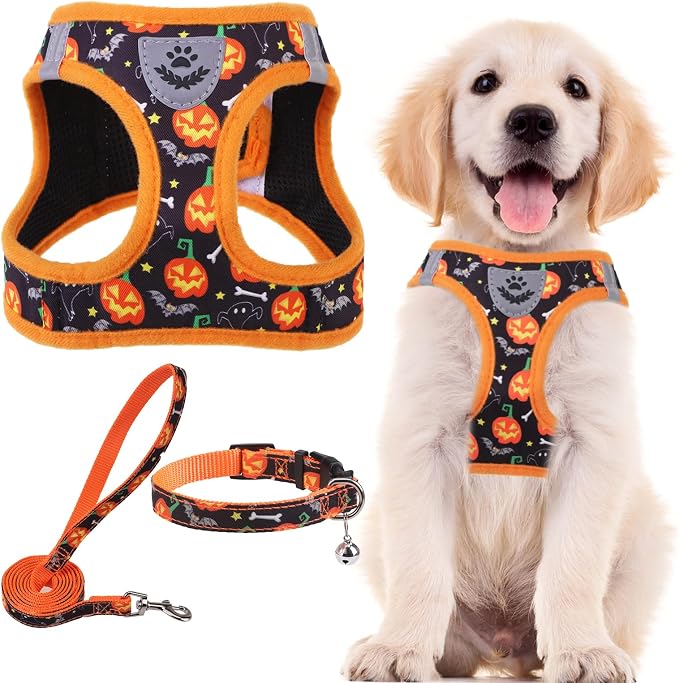 PUPTECK Dog Harness, Collar and Leash Set No Pull for Small Medium Sized | Halloween Puppy Step-in Escape Proof Reflective No Choke Pet Cat Adjustable Walking Vest by PUPTECK