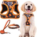 PUPTECK Dog Harness, Collar and Leash Set No Pull for Small Medium Sized | Halloween Puppy Step-in Escape Proof Reflective No Choke Pet Cat Adjustable Walking Vest by PUPTECK